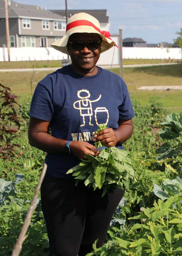 Woman wearing a hat holds a bunch of greens in community garden.